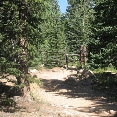 Barr Camp cabins